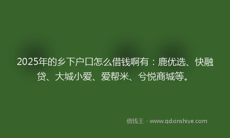 2025年的乡下户口怎么借钱啊有：鹿优选、快融贷、大城小爱、爱帮米、兮悦商城等。