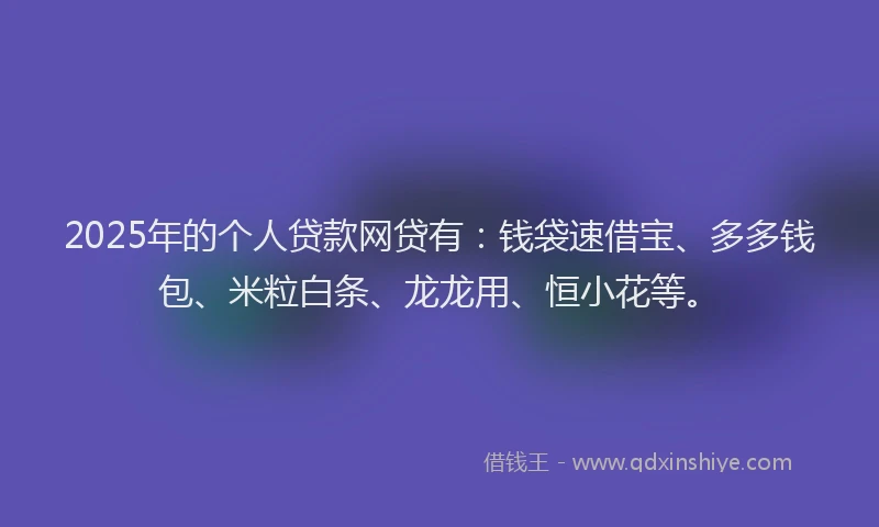 2025年的个人贷款网贷有：钱袋速借宝、多多钱包、米粒白条、龙龙用、恒小花等。