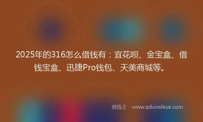 2025年的316怎么借钱有：宜花呗、金宝盒、借钱宝盒、迅捷Pro钱包、天美商城等。