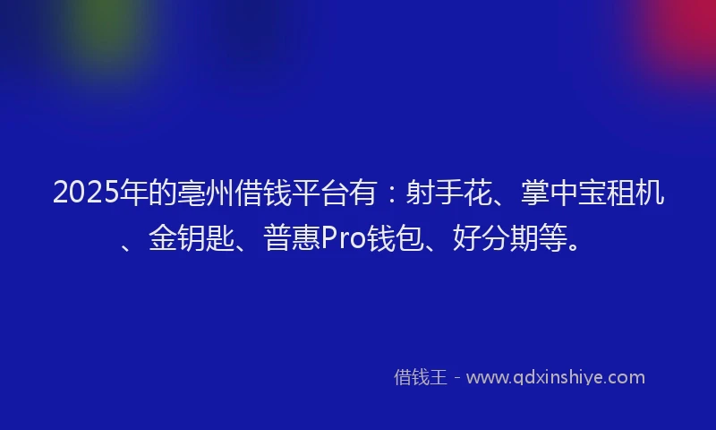 2025年的亳州借钱平台有：射手花、掌中宝租机、金钥匙、普惠Pro钱包、好分期等。