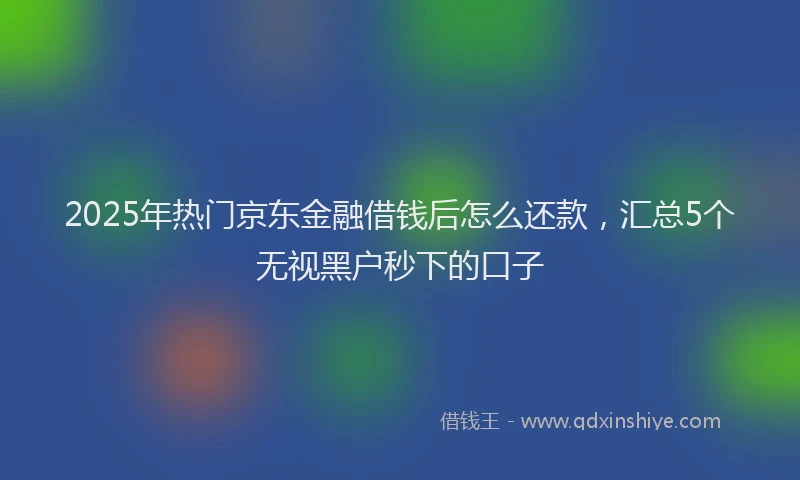 2025年热门京东金融借钱后怎么还款，汇总5个无视黑户秒下的口子