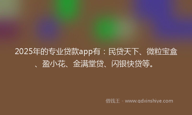 2025年的专业贷款app有：民贷天下、微粒宝盒、盈小花、金满堂贷、闪银快贷等。