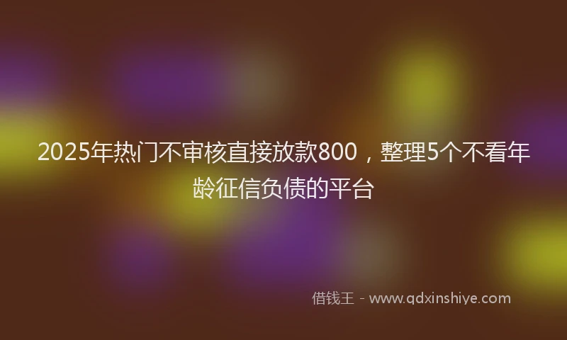 2025年热门不审核直接放款800，整理5个不看年龄征信负债的平台