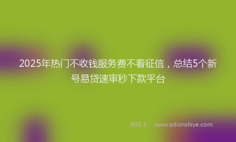 2025年热门不收钱服务费不看征信，总结5个新号易贷速审秒下款平台