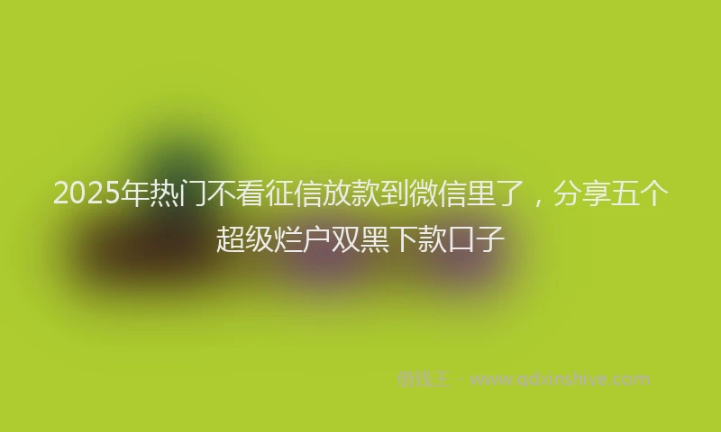 2025年热门不看征信放款到微信里了，分享五个超级烂户双黑下款口子