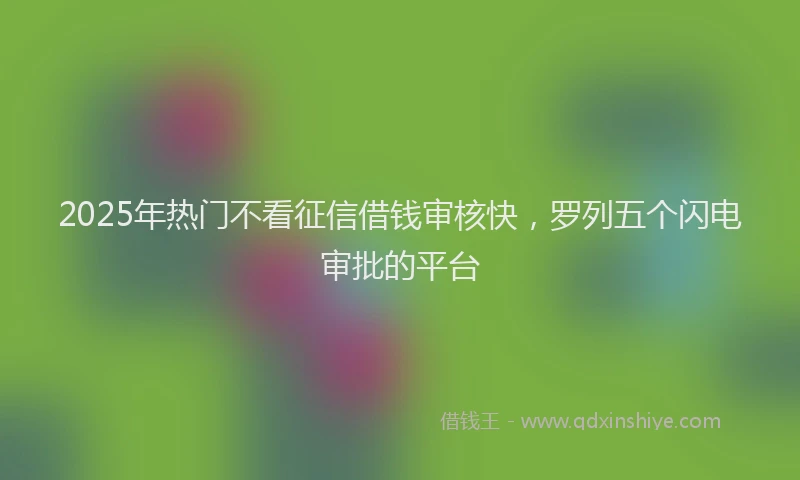 2025年热门不看征信借钱审核快，罗列五个闪电审批的平台