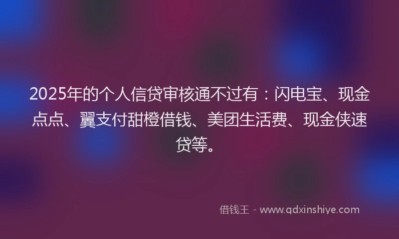 2025年的个人信贷审核通不过有：闪电宝、现金点点、翼支付甜橙借钱、美团生活费、现金侠速贷等。