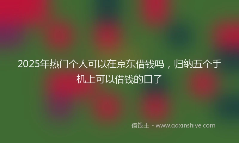 2025年热门个人可以在京东借钱吗，归纳五个手机上可以借钱的口子