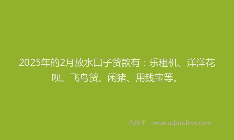 2025年的2月放水口子贷款有：乐租机、洋洋花呗、飞鸟贷、闲猪、用钱宝等。