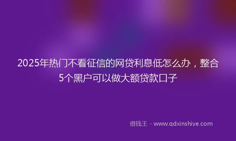 2025年热门不看征信的网贷利息低怎么办，整合5个黑户可以做大额贷款口子