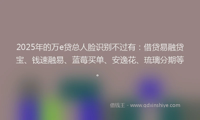 2025年的万e贷总人脸识别不过有：借贷易融贷宝、钱速融易、蓝莓买单、安逸花、琉璃分期等。