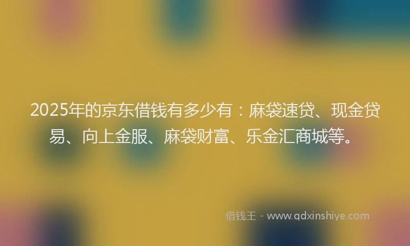 2025年的京东借钱有多少有：麻袋速贷、现金贷易、向上金服、麻袋财富、乐金汇商城等。