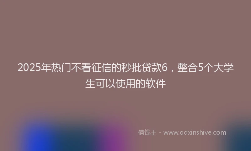 2025年热门不看征信的秒批贷款6，整合5个大学生可以使用的软件