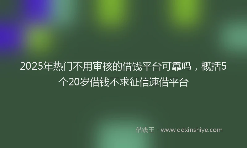 2025年热门不用审核的借钱平台可靠吗，概括5个20岁借钱不求征信速借平台