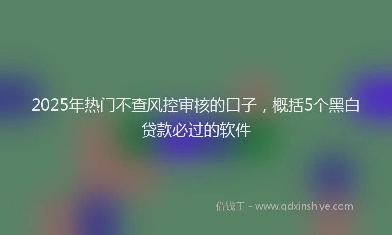 2025年热门不查风控审核的口子，概括5个黑白贷款必过的软件