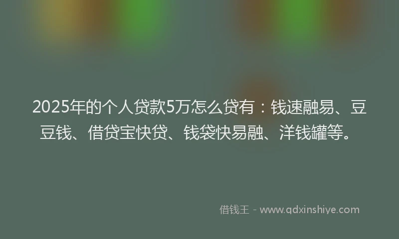 2025年的个人贷款5万怎么贷有：钱速融易、豆豆钱、借贷宝快贷、钱袋快易融、洋钱罐等。
