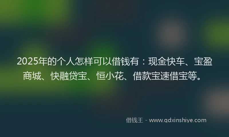 2025年的个人怎样可以借钱有：现金快车、宝盈商城、快融贷宝、恒小花、借款宝速借宝等。