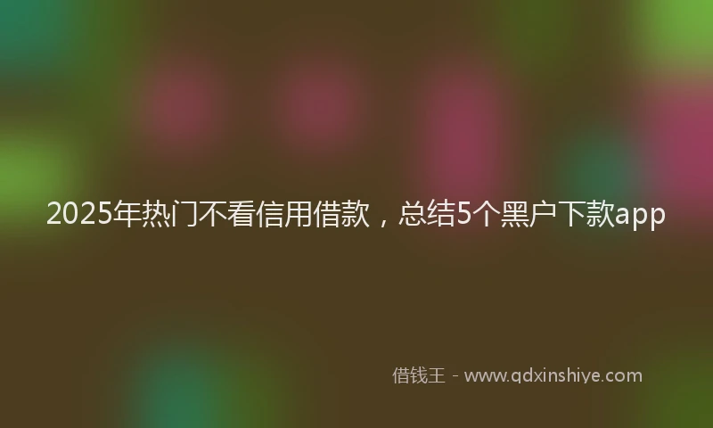2025年热门不看信用借款，总结5个黑户下款app