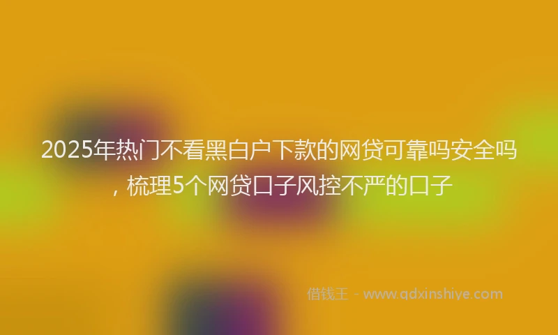 2025年热门不看黑白户下款的网贷可靠吗安全吗，梳理5个网贷口子风控不严的口子