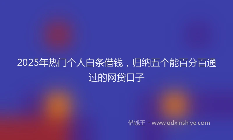 2025年热门个人白条借钱，归纳五个能百分百通过的网贷口子