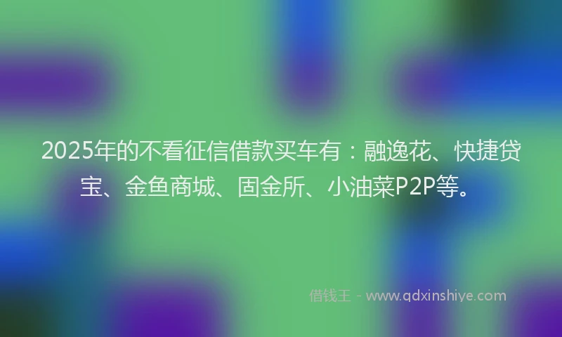 2025年的不看征信借款买车有：融逸花、快捷贷宝、金鱼商城、固金所、小油菜P2P等。