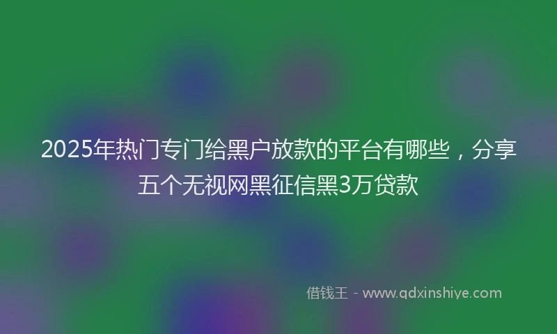 2025年热门专门给黑户放款的平台有哪些，分享五个无视网黑征信黑3万贷款