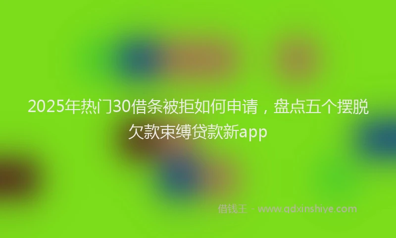 2025年热门30借条被拒如何申请，盘点五个摆脱欠款束缚贷款新app