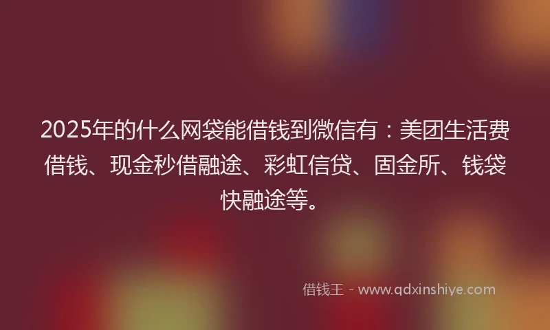 2025年的什么网袋能借钱到微信有：美团生活费借钱、现金秒借融途、彩虹信贷、固金所、钱袋快融途等。
