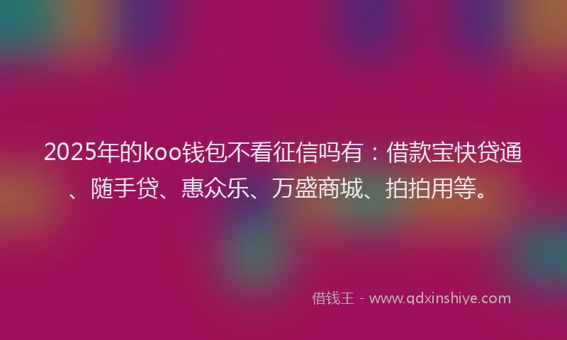 2025年的koo钱包不看征信吗有：借款宝快贷通、随手贷、惠众乐、万盛商城、拍拍用等。