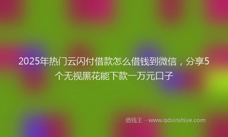 2025年热门云闪付借款怎么借钱到微信，分享5个无视黑花能下款一万元口子