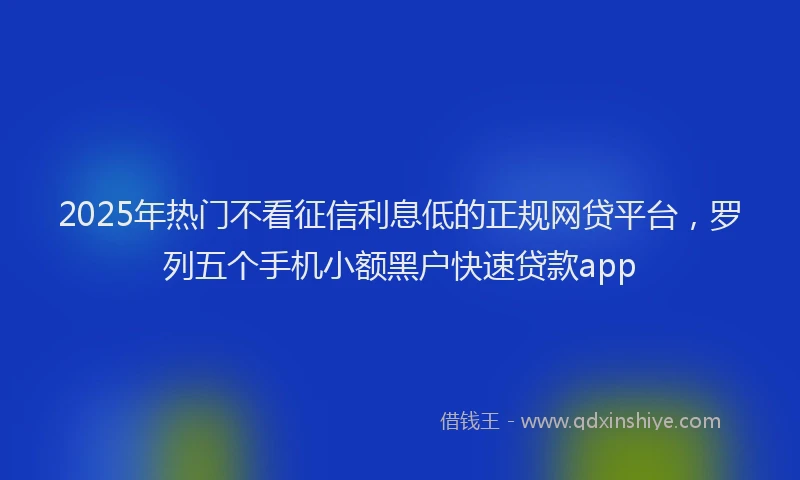2025年热门不看征信利息低的正规网贷平台，罗列五个手机小额黑户快速贷款app