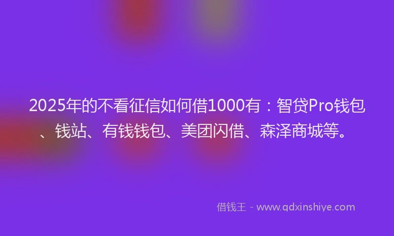2025年的不看征信如何借1000有：智贷Pro钱包、钱站、有钱钱包、美团闪借、森泽商城等。