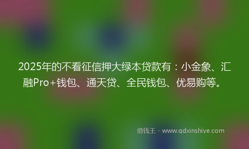 2025年的不看征信押大绿本贷款有：小金象、汇融Pro+钱包、通天贷、全民钱包、优易购等。
