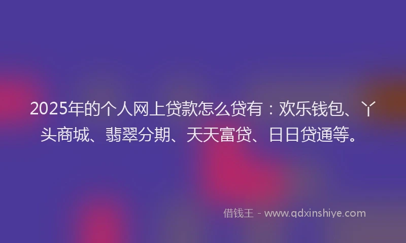 2025年的个人网上贷款怎么贷有：欢乐钱包、丫头商城、翡翠分期、天天富贷、日日贷通等。