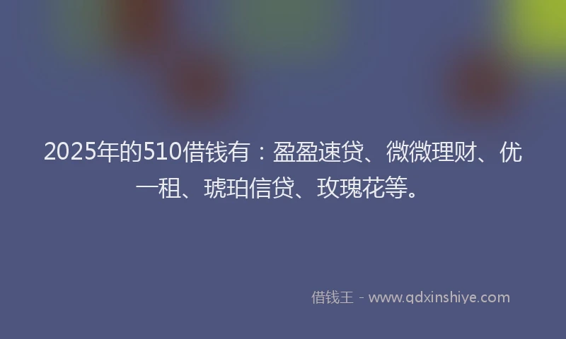 2025年的510借钱有：盈盈速贷、微微理财、优一租、琥珀信贷、玫瑰花等。