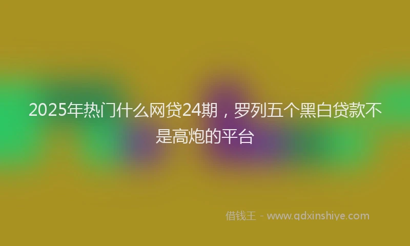 2025年热门什么网贷24期，罗列五个黑白贷款不是高炮的平台