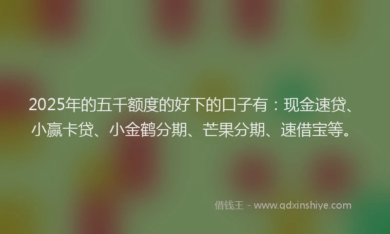 2025年的五千额度的好下的口子有：现金速贷、小赢卡贷、小金鹤分期、芒果分期、速借宝等。