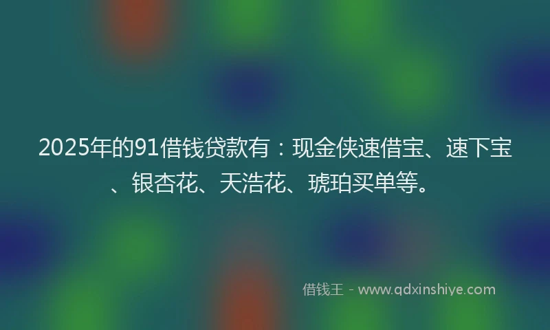 2025年的91借钱贷款有：现金侠速借宝、速下宝、银杏花、天浩花、琥珀买单等。