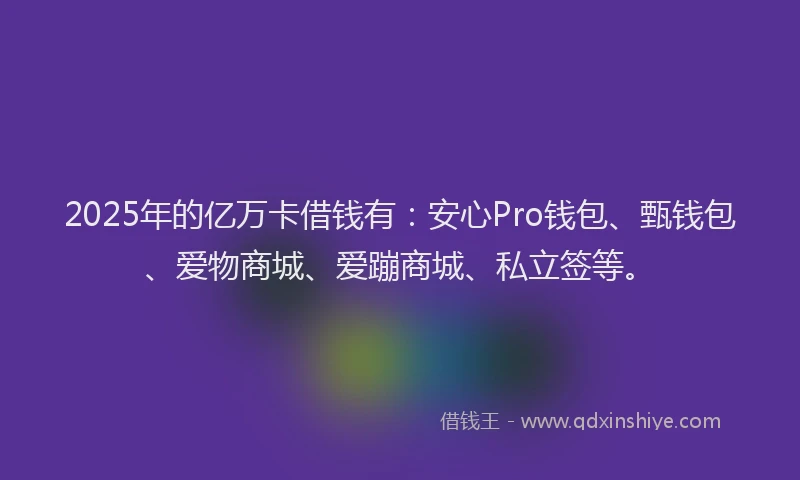 2025年的亿万卡借钱有：安心Pro钱包、甄钱包、爱物商城、爱蹦商城、私立签等。