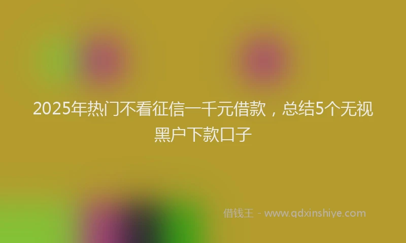 2025年热门不看征信一千元借款，总结5个无视黑户下款口子