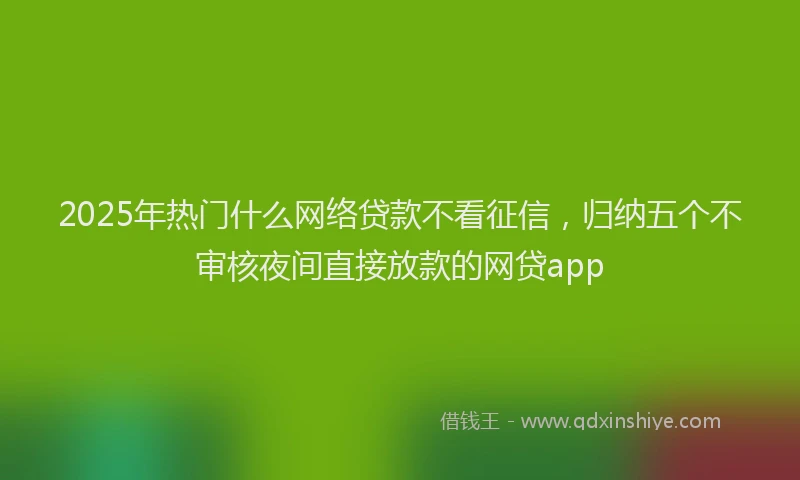 2025年热门什么网络贷款不看征信，归纳五个不审核夜间直接放款的网贷app