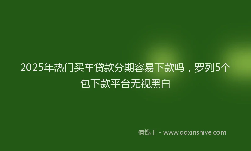 2025年热门买车贷款分期容易下款吗，罗列5个包下款平台无视黑白