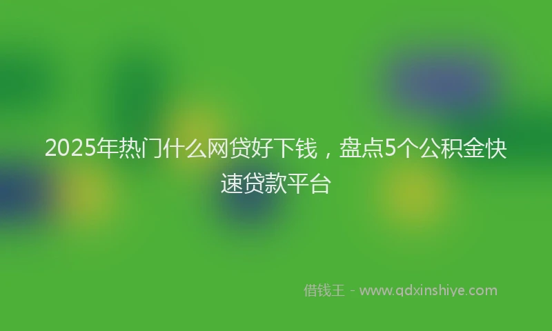 2025年热门什么网贷好下钱，盘点5个公积金快速贷款平台