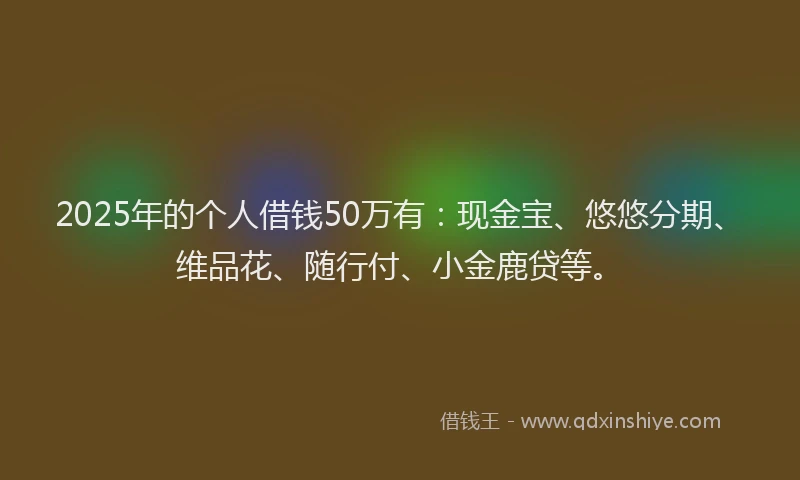 2025年的个人借钱50万有：现金宝、悠悠分期、维品花、随行付、小金鹿贷等。