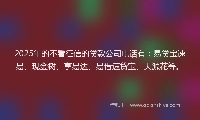 2025年的不看征信的贷款公司电话有：易贷宝速易、现金树、享易达、易借速贷宝、天源花等。