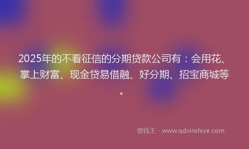 2025年的不看征信的分期贷款公司有：会用花、掌上财富、现金贷易借融、好分期、招宝商城等。