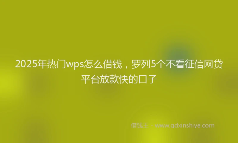 2025年热门wps怎么借钱，罗列5个不看征信网贷平台放款快的口子