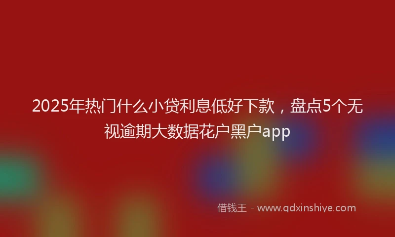 2025年热门什么小贷利息低好下款，盘点5个无视逾期大数据花户黑户app