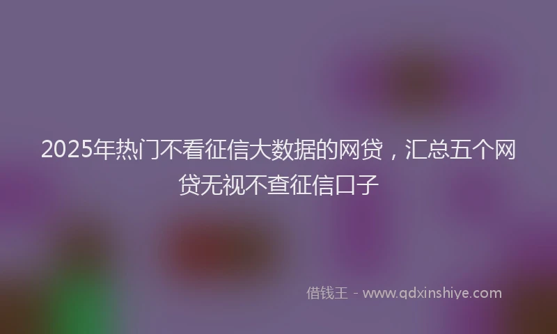 2025年热门不看征信大数据的网贷，汇总五个网贷无视不查征信口子