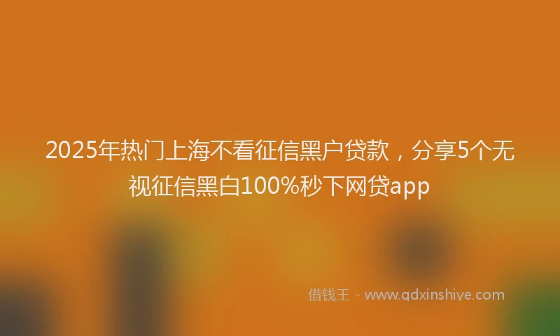 2025年热门上海不看征信黑户贷款，分享5个无视征信黑白100%秒下网贷app